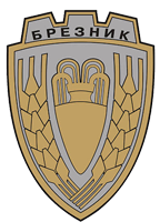 Община Брезник